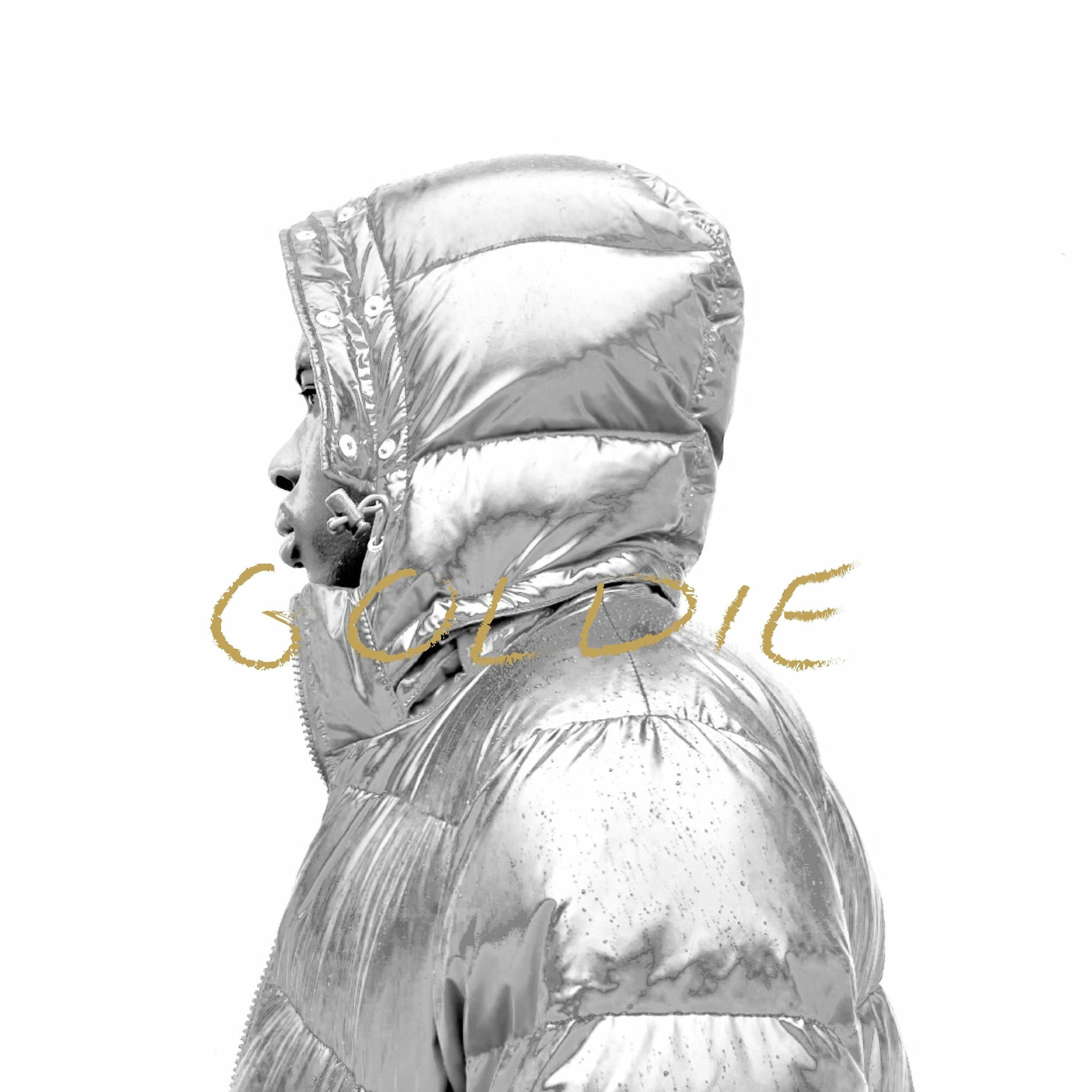 Album cover of Goldie