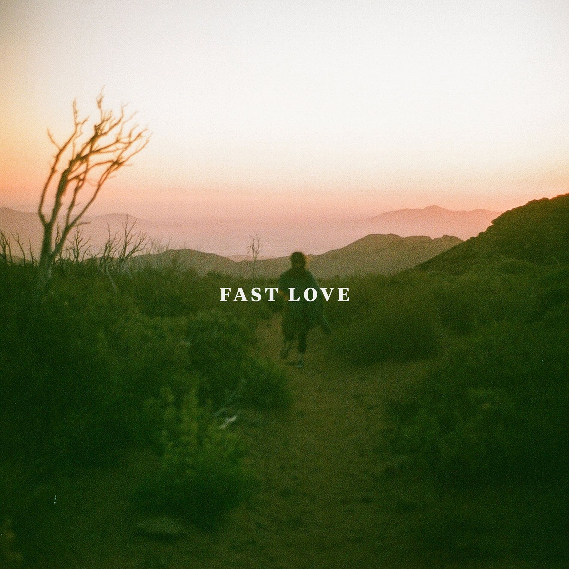 Album cover of Fast Love