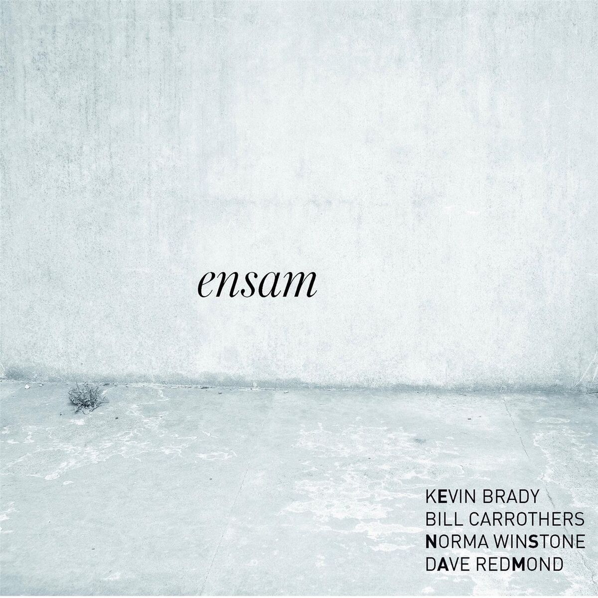 Album cover of Ensam