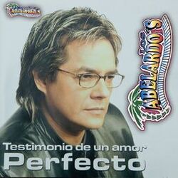 Cover of Testimonio de un Amor Perfecto