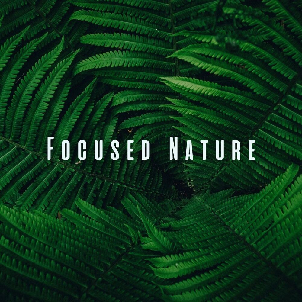 Picture of Focused Nature: Binaural Sounds for Intense Study Sessions