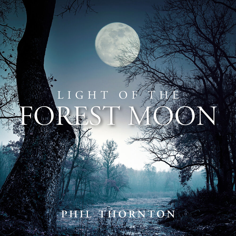 Picture of Light of the Forest Moon