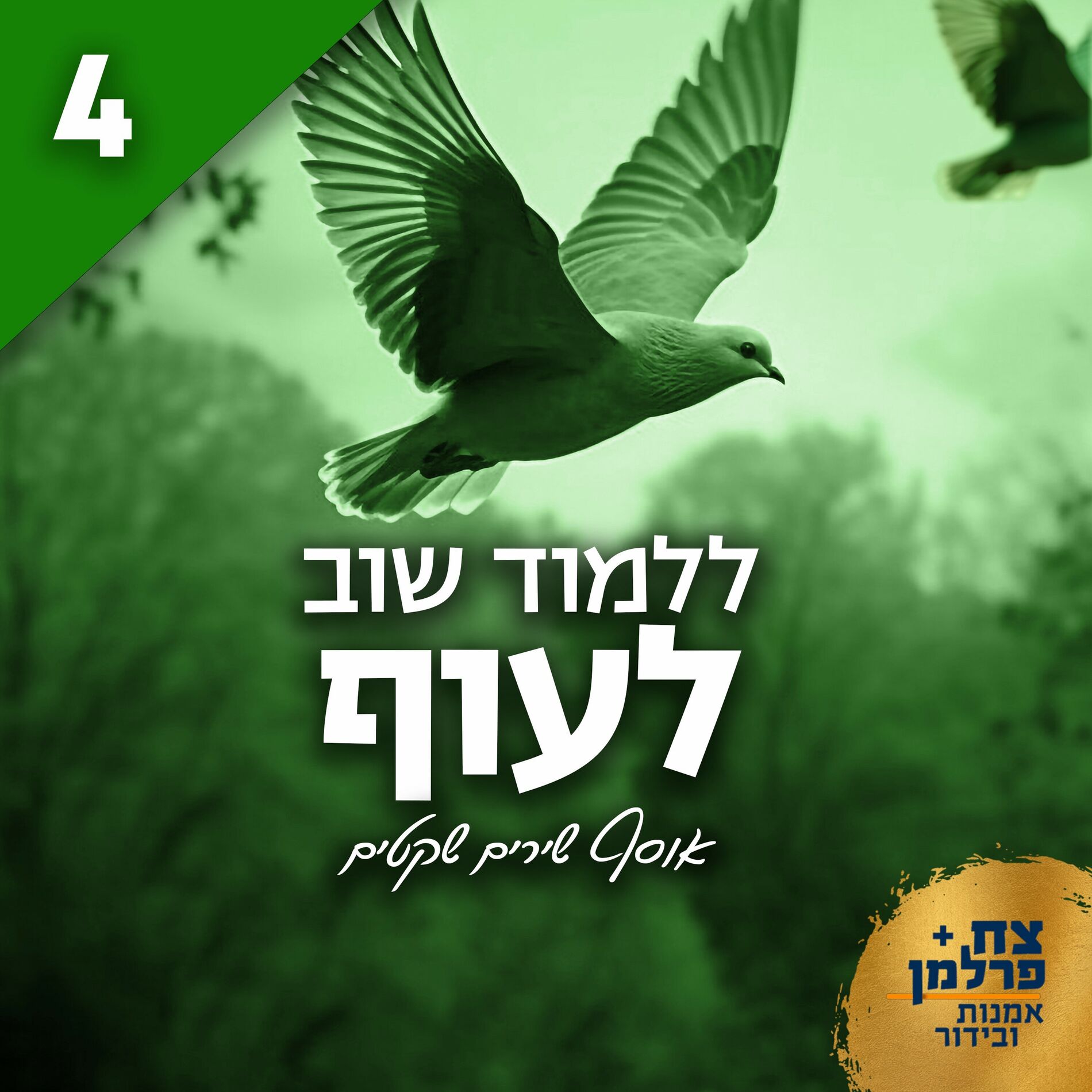 Album cover of ללמוד שוב לעוף 4 (אוסף שירים שקטים)