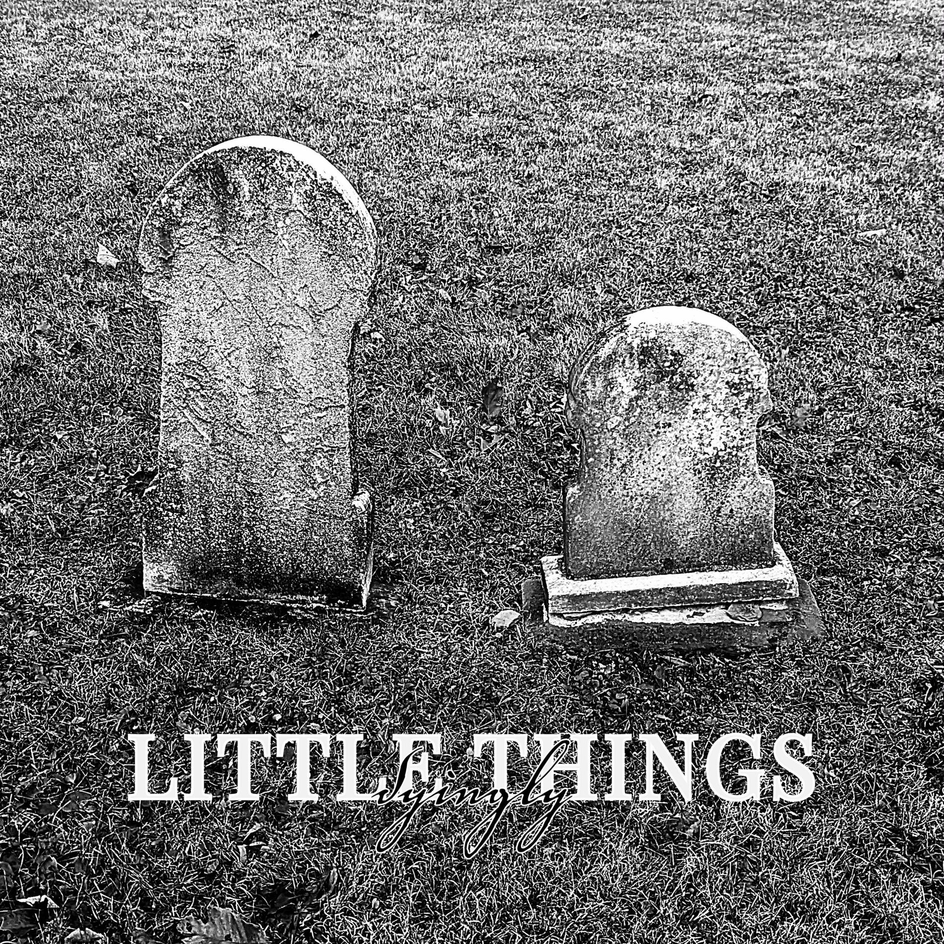 Album cover of Little Things