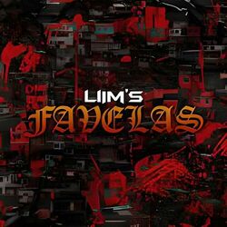 Cover of Favelas