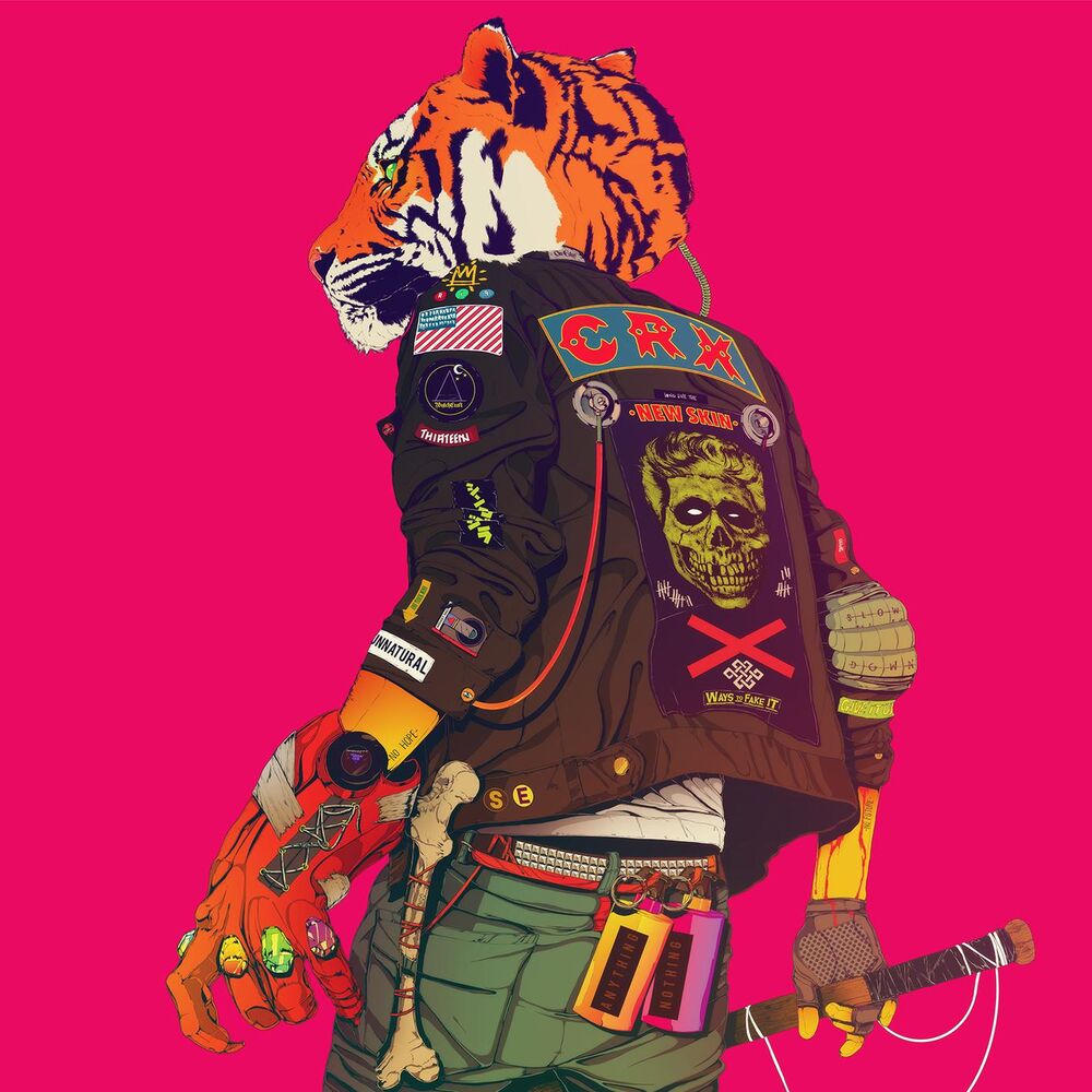Picture of New Skin