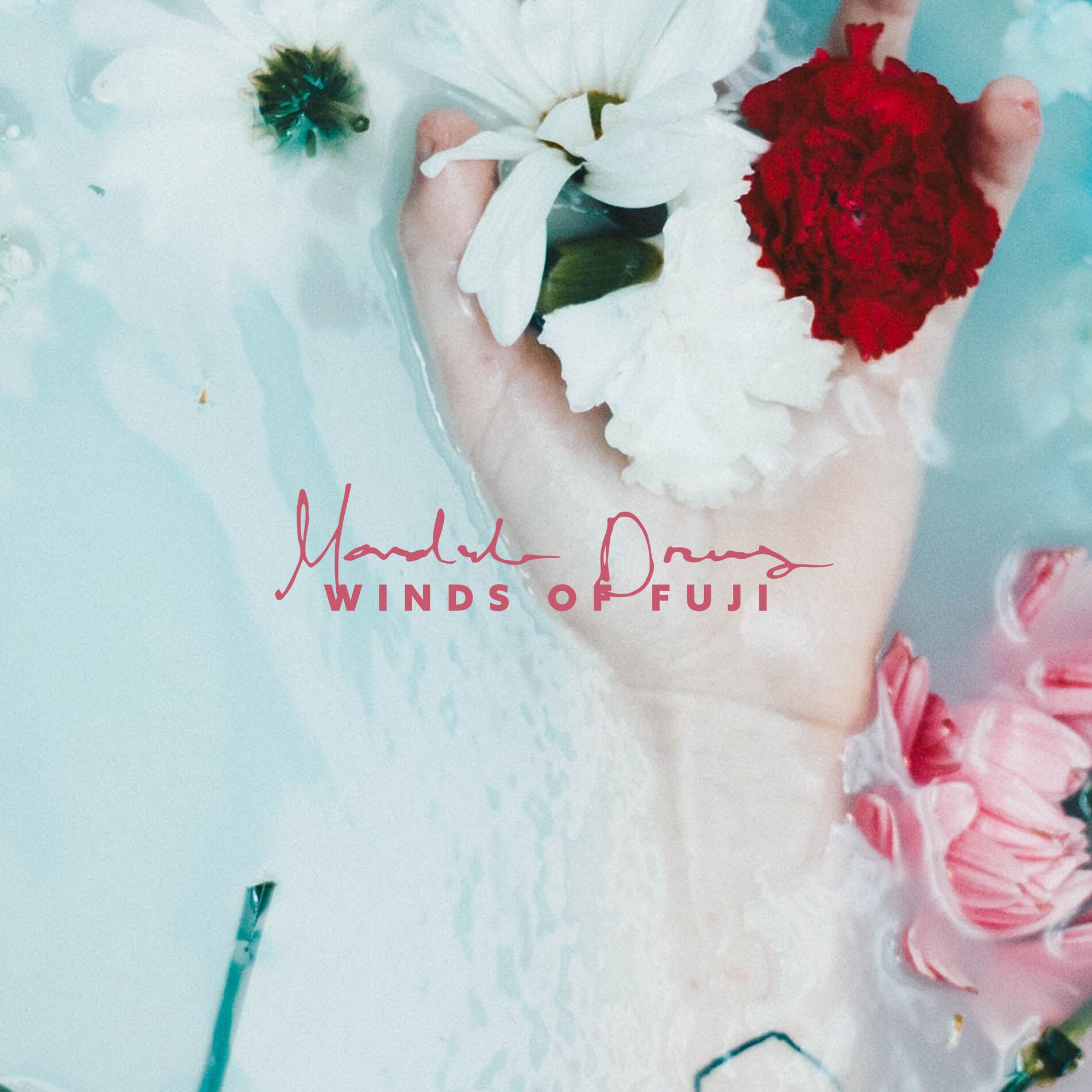 Album cover of Winds Of Fuji
