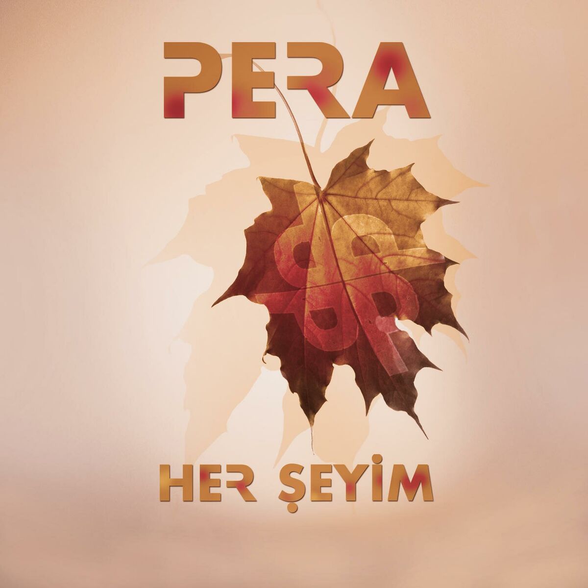 Album cover of Her Şeyim
