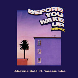 Cover of Before You Wake Up (Remix) [feat. Vanessa Mdee]