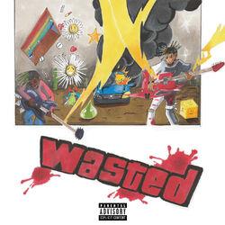 Cover of Wasted