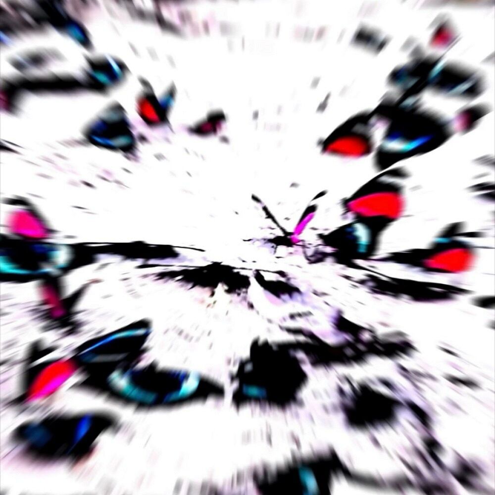 Picture of AMAMI