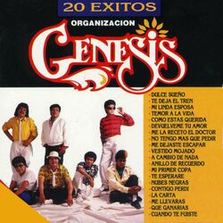 Cover of 20 Éxitos