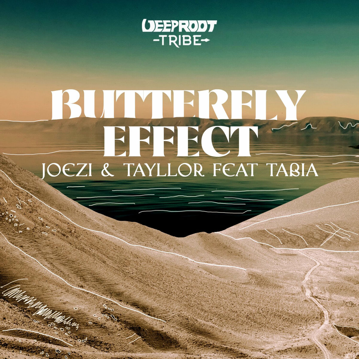Album cover of Butterfly Effect