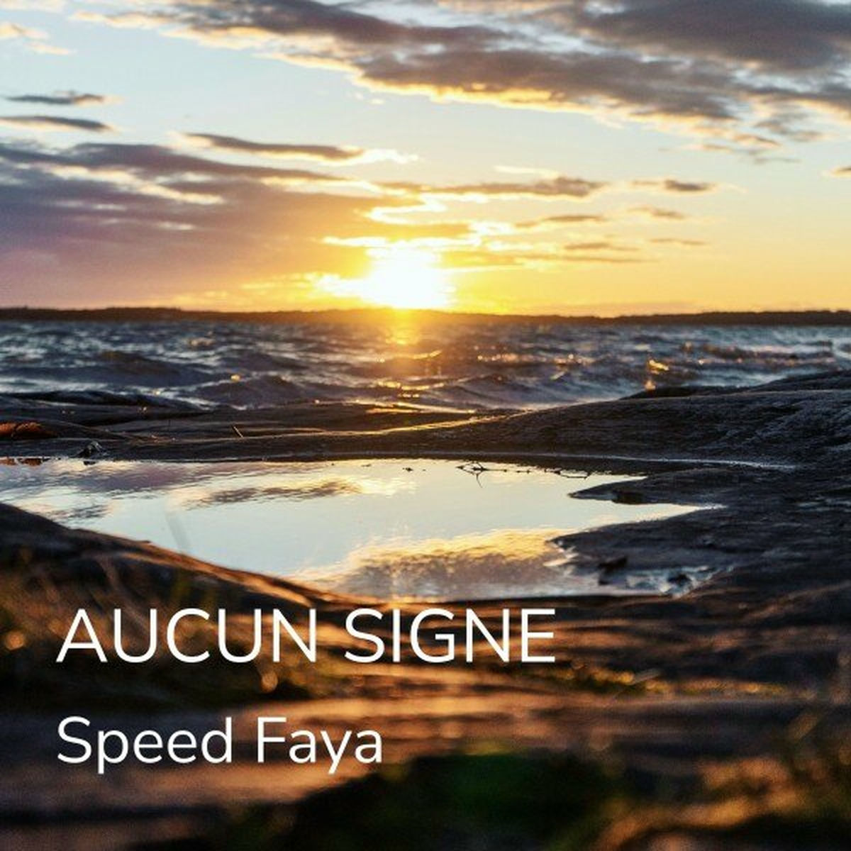 Album cover of Aucun signe