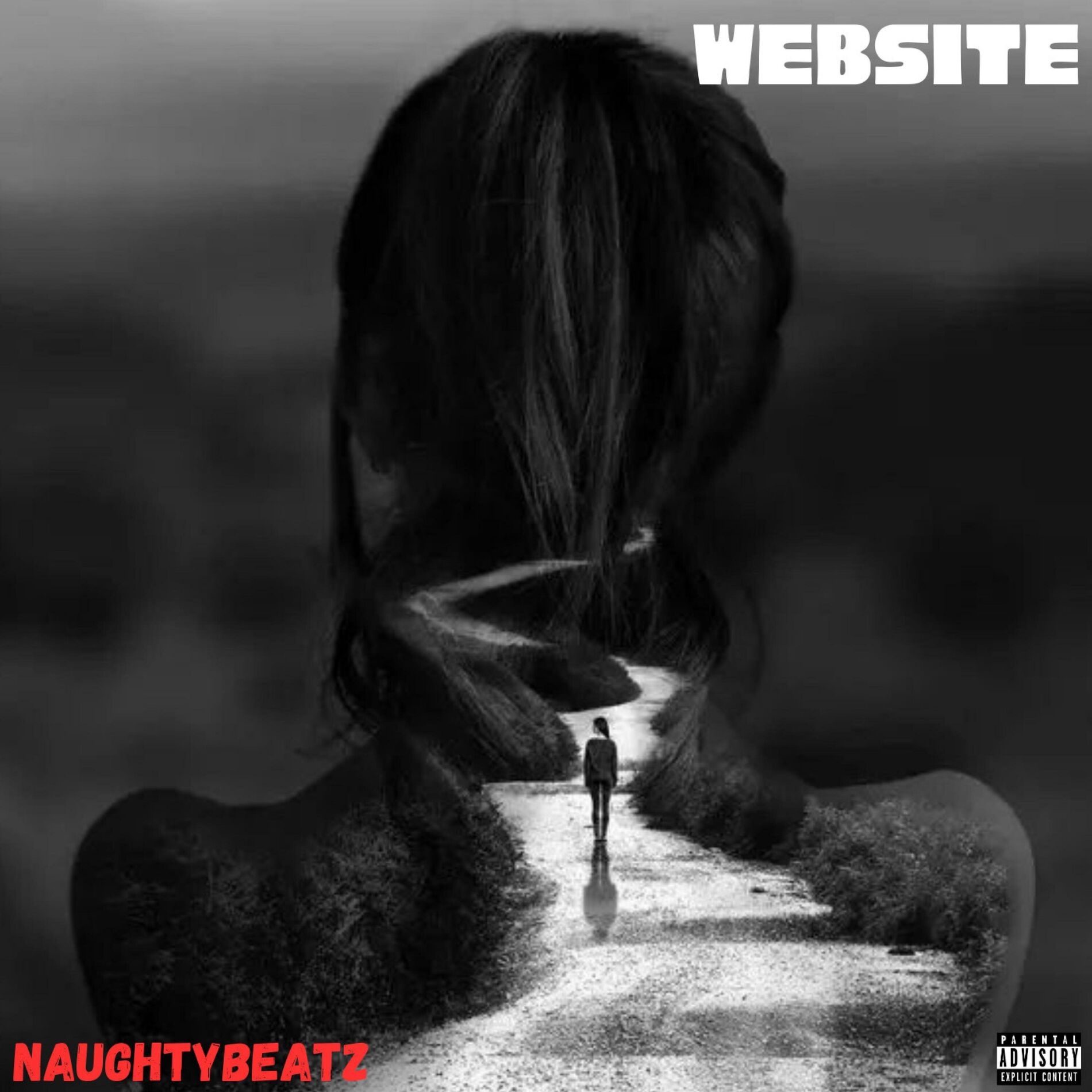Album cover of Website
