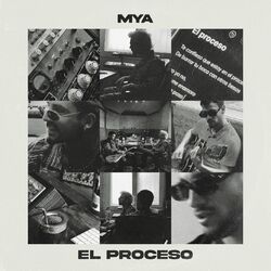 Cover of EL PROCESO