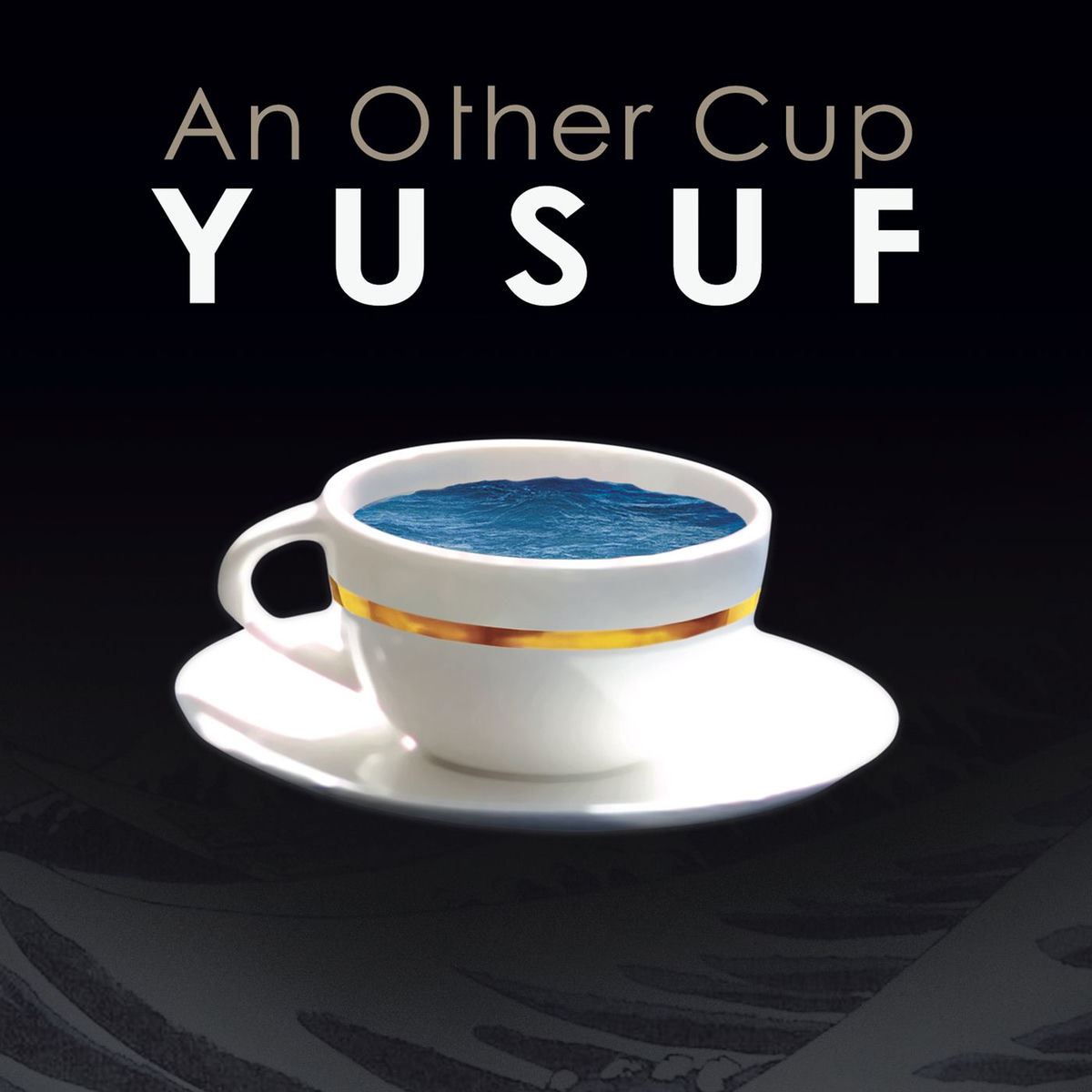Album cover of An Other Cup