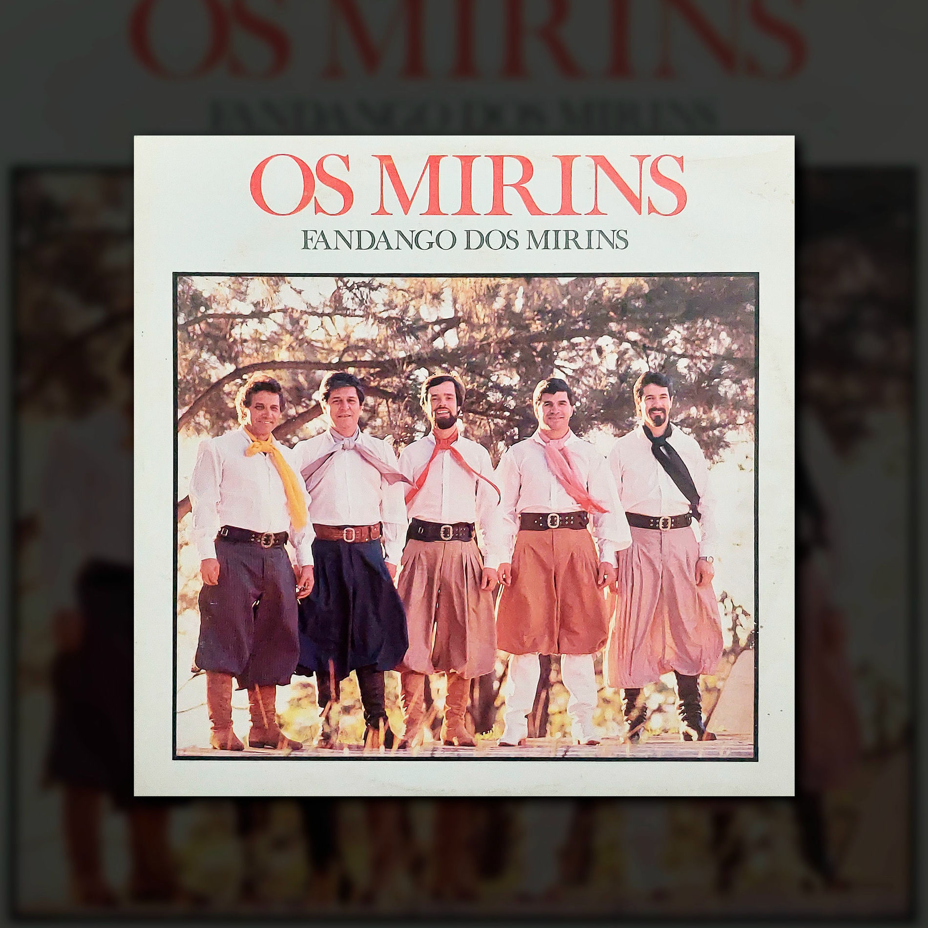 Album cover of Fandango dos Mirins