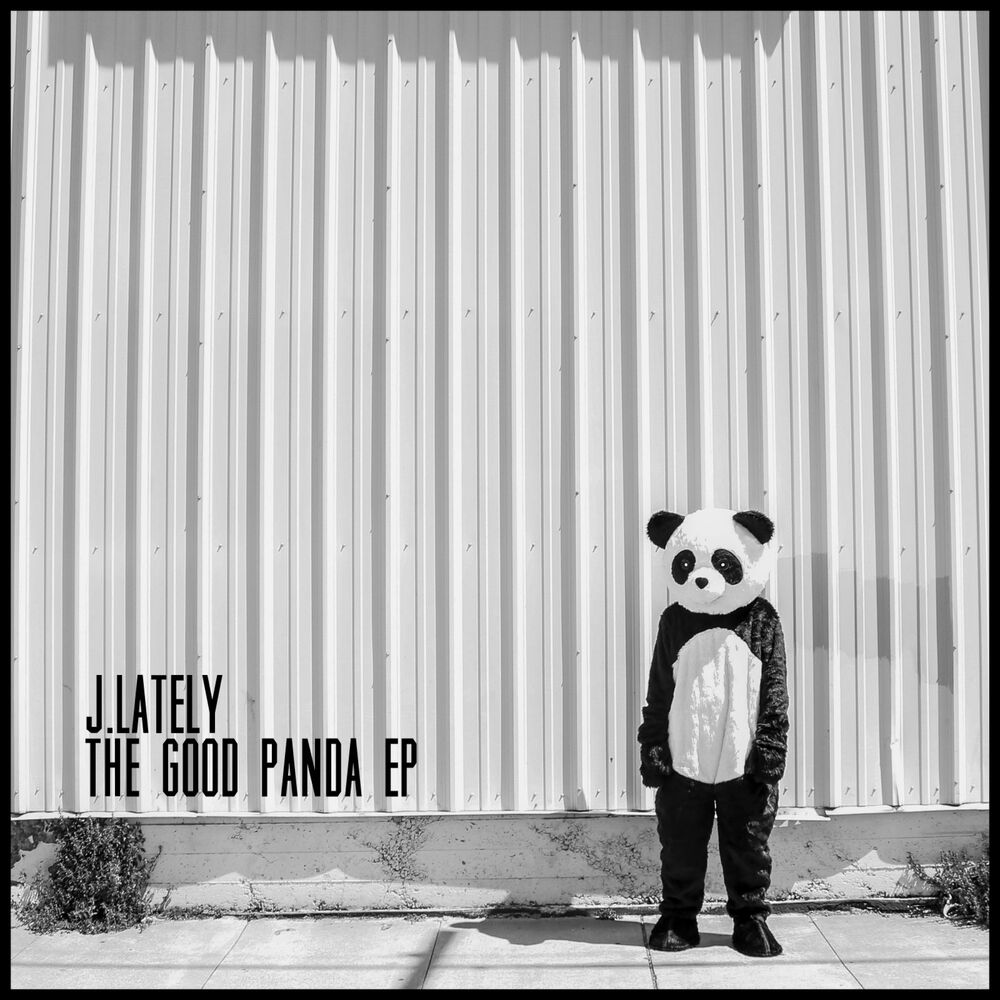 Picture of The Good Panda