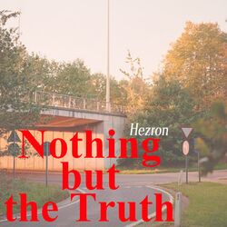 Cover of Nothing but the Truth