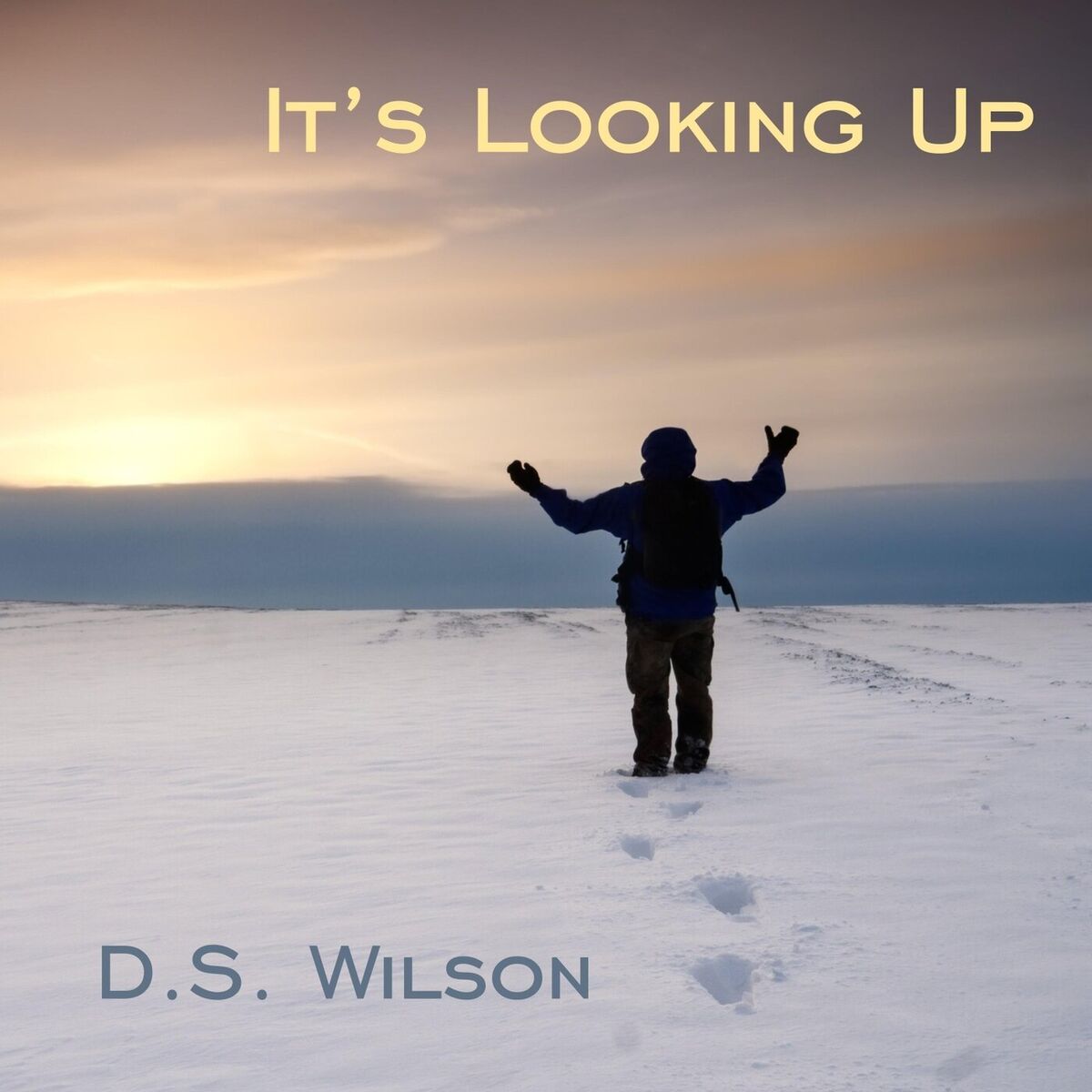 Album cover of It's Looking Up