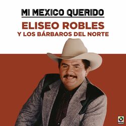 Cover of Mi Mexico Querido
