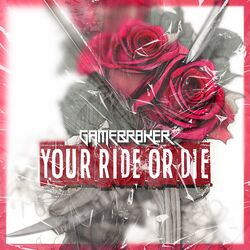 Cover of Your Ride Or Die