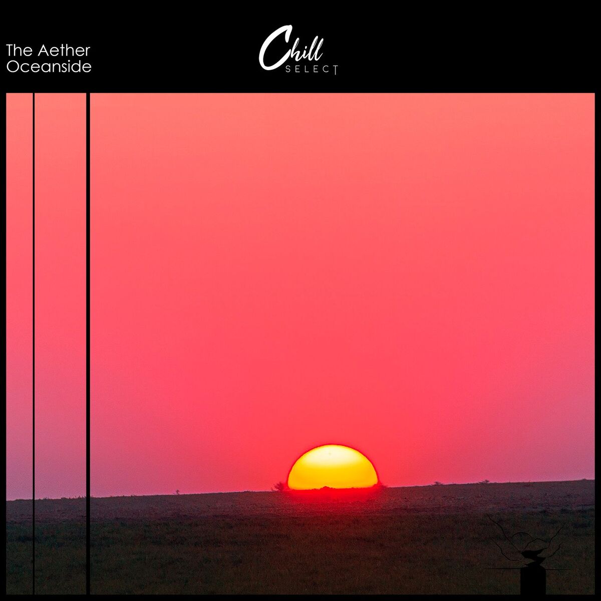 Album cover of Oceanside