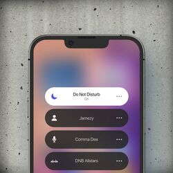 Cover of Do Not Disturb