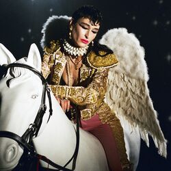 Cover of Lost Angel