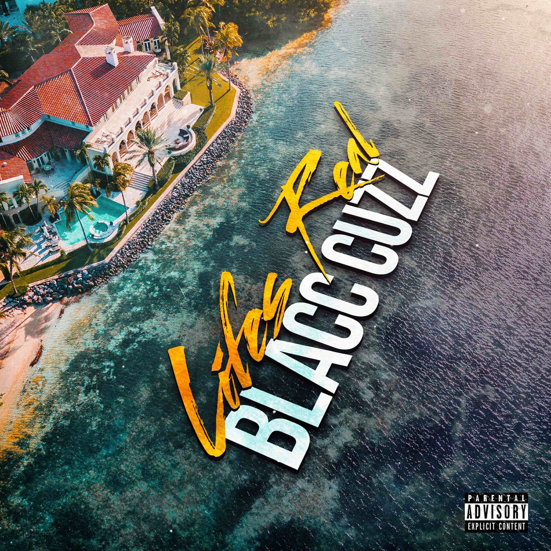 Album cover of LIFES REAL