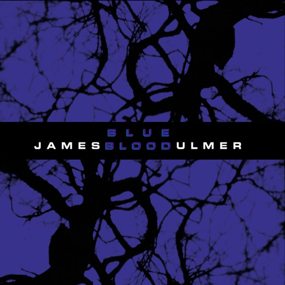 Picture of Blue Blood