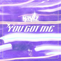 Cover of You Got Me