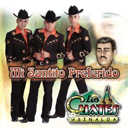 Cover of Mi Santito Preferido