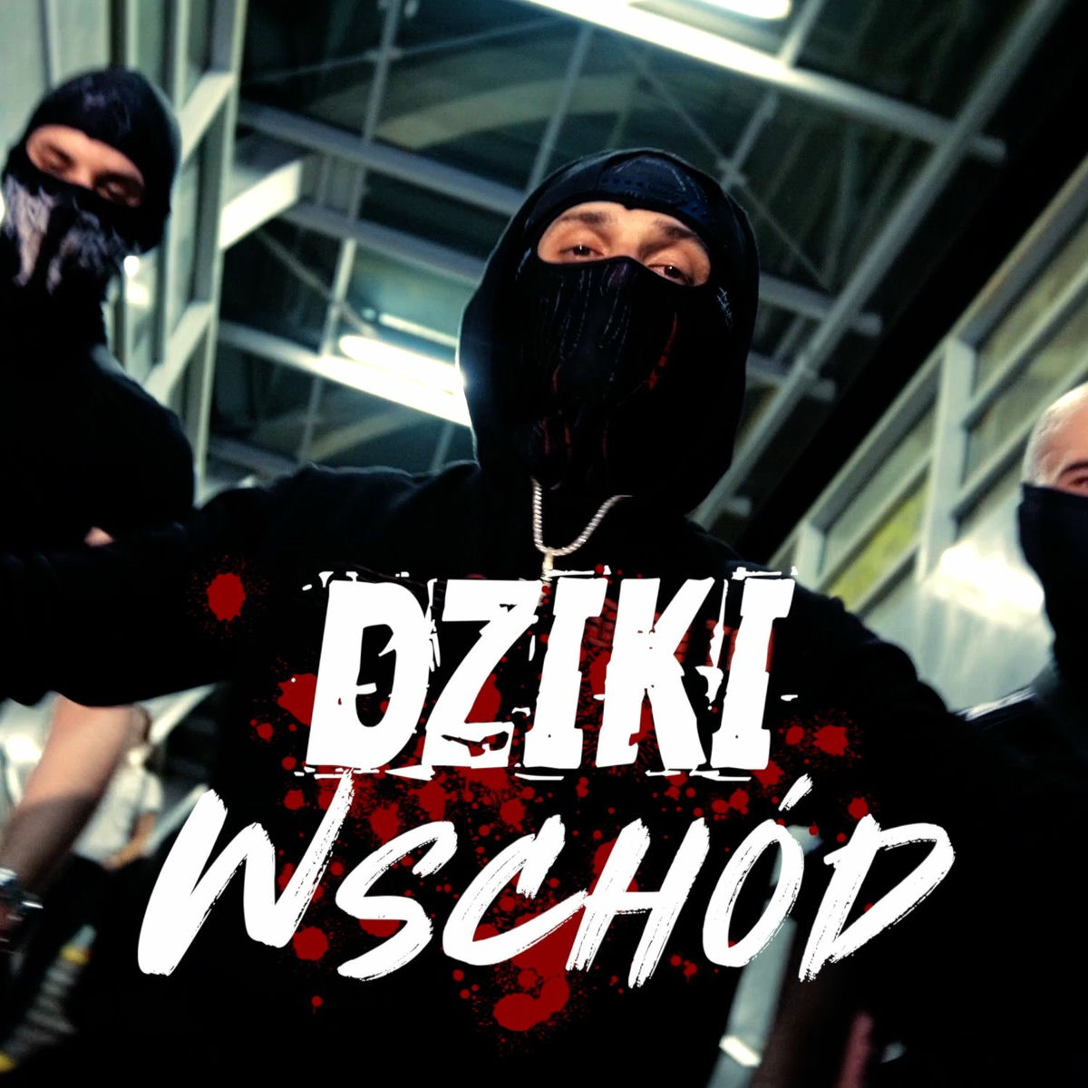 Album cover of Dziki Wschód
