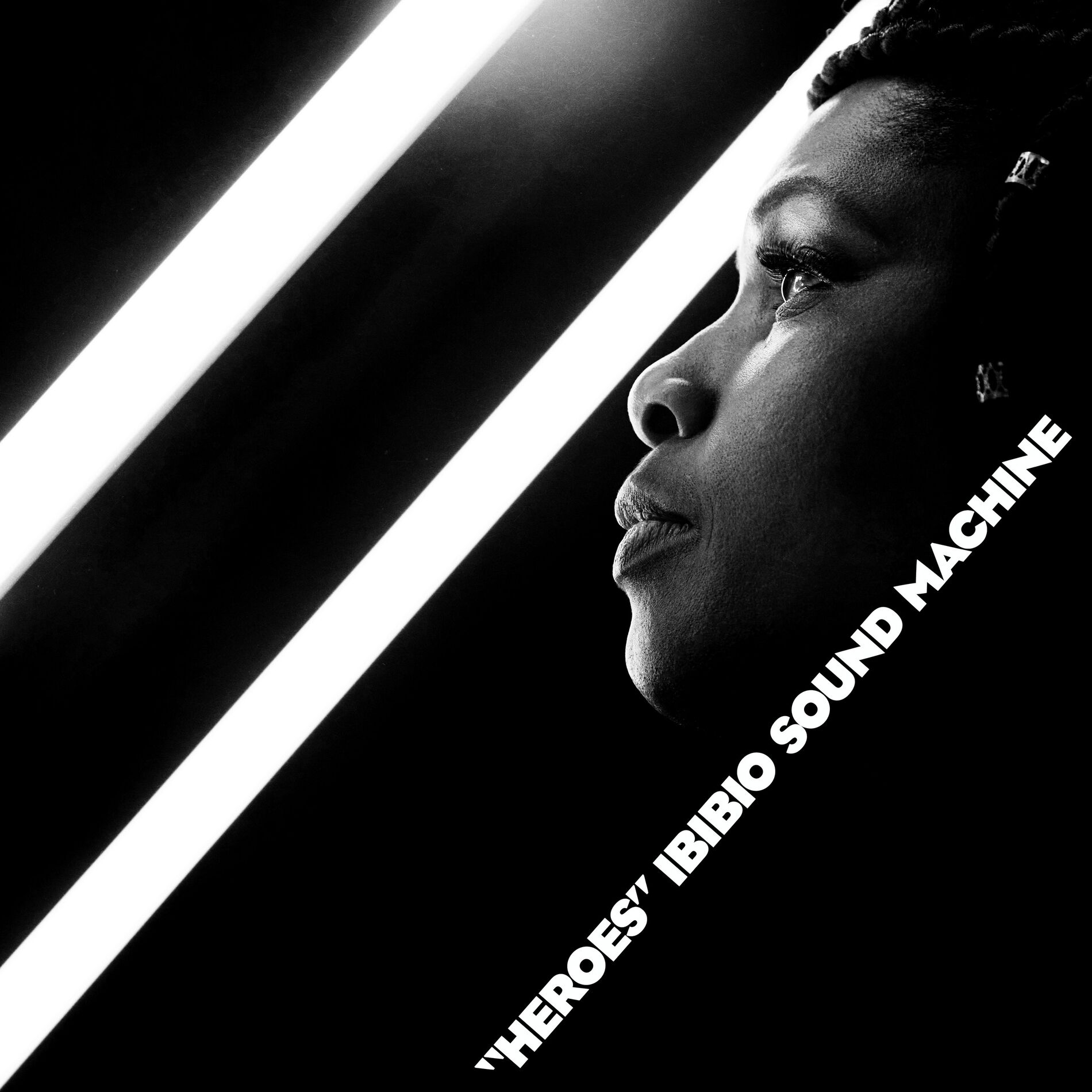 Album cover of Heroes
