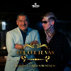 Cover of Por Qué Te Vas