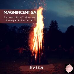 Cover of Bvisa