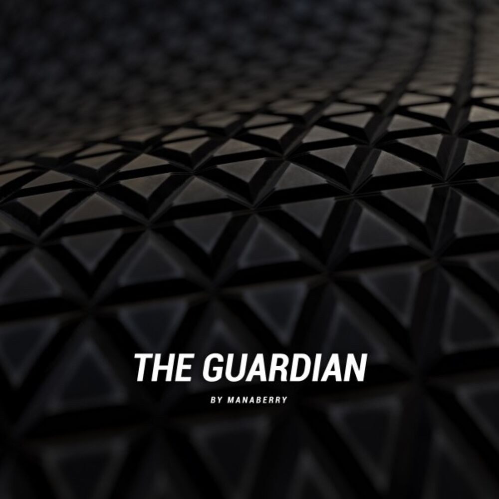 Picture of The Guardian