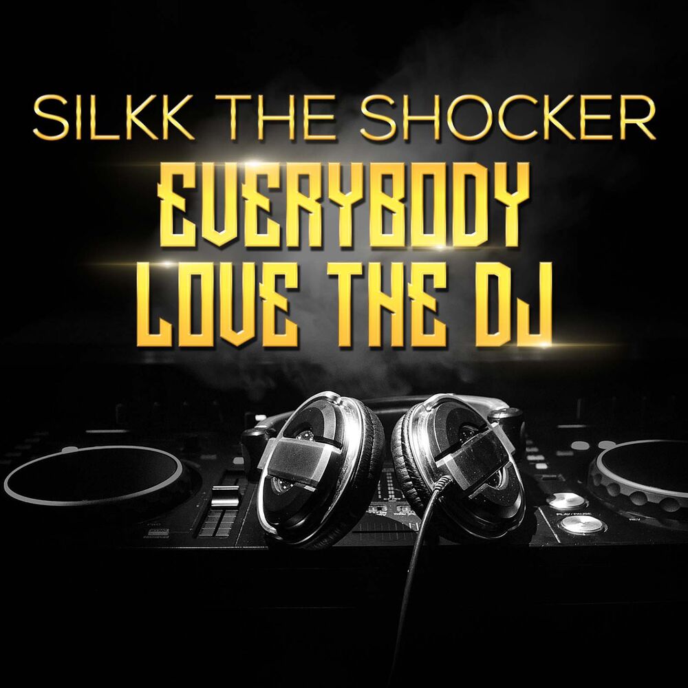 Picture of Everybody Love the DJ