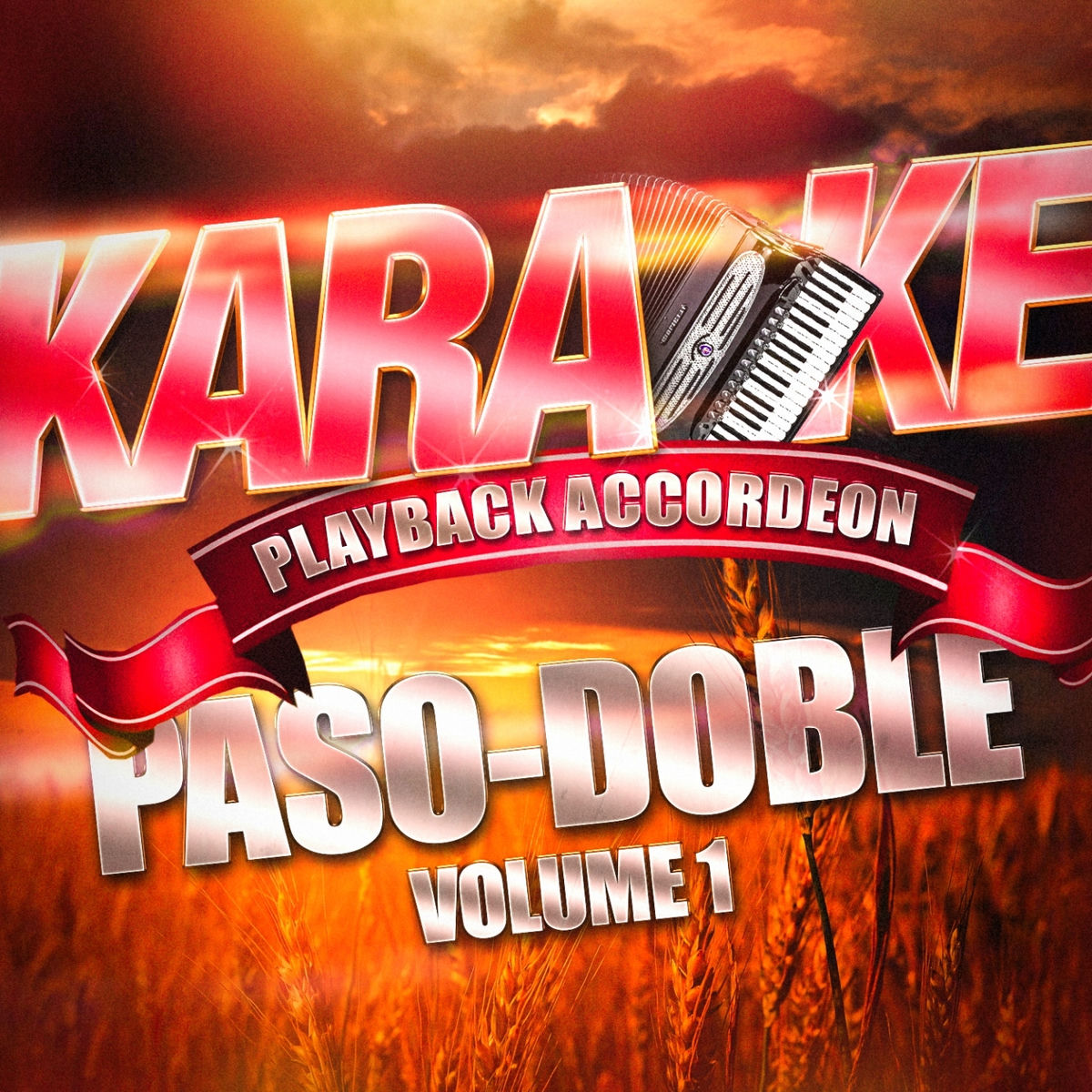 Album cover of Karaoké Playback Accordéon : Paso-Doble, Vol. 1
