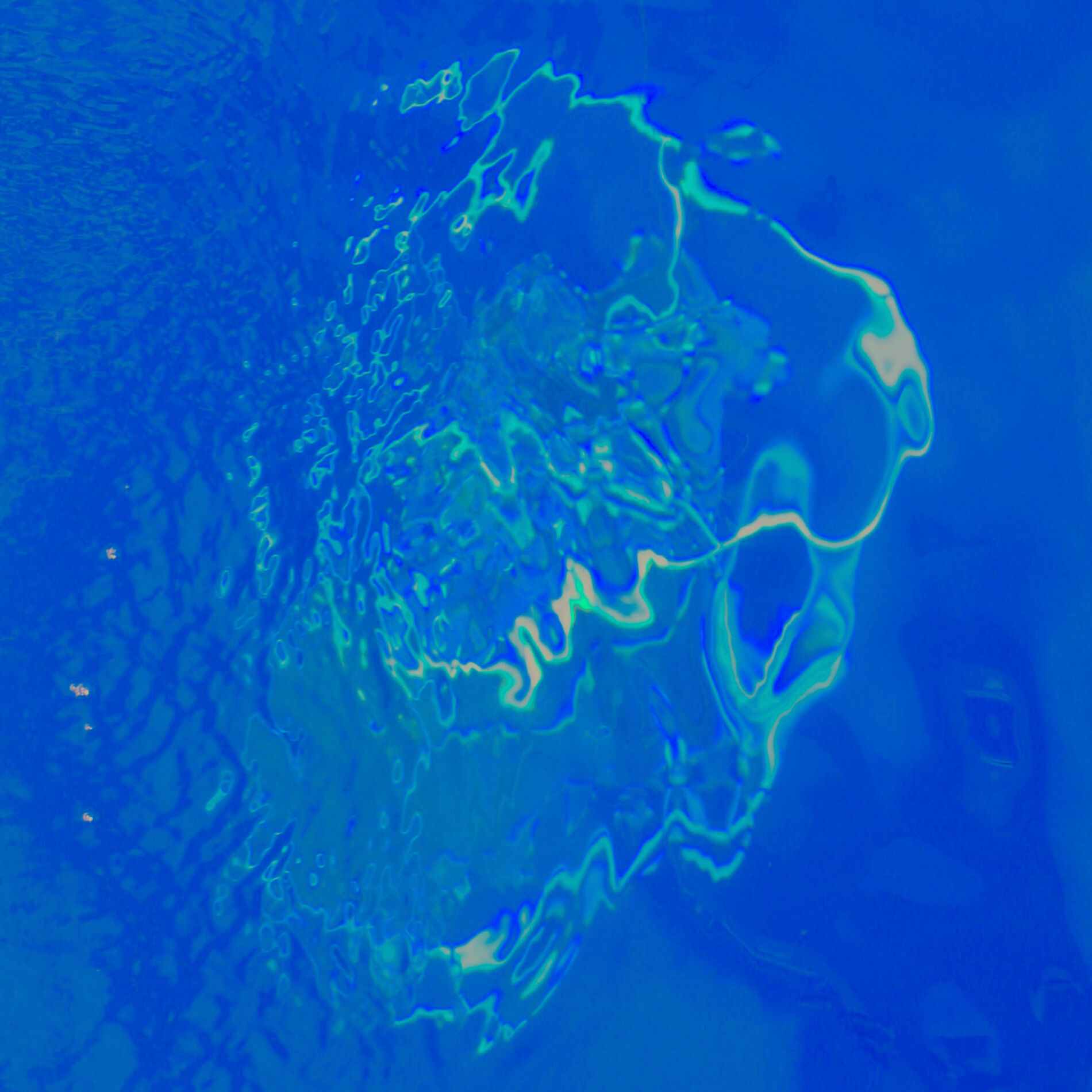 Album cover of Distorted Worlds
