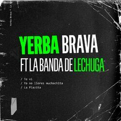 Cover of Te Vi / Ya No Llores Muchachita / La Plazita
