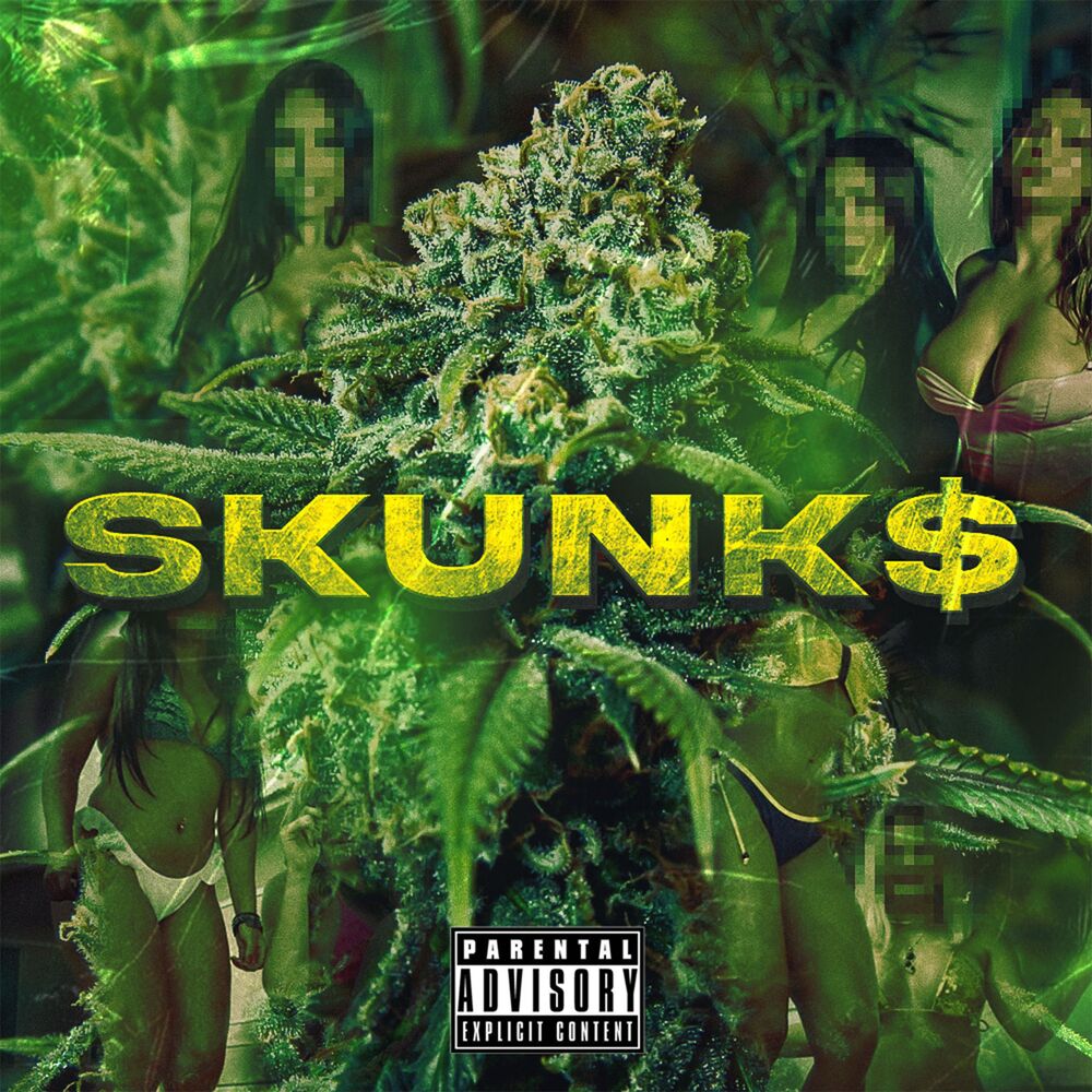 Picture of Skunk $
