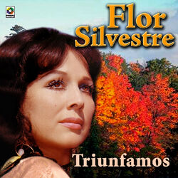 Cover of Triunfamos