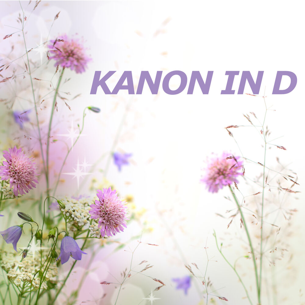 Picture of Kanon in D