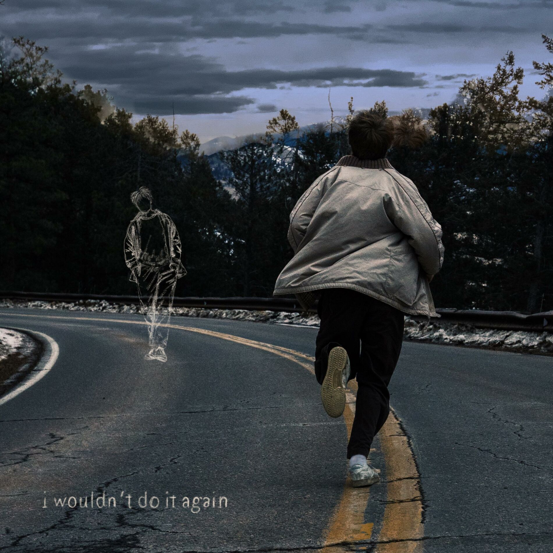 Album cover of i wouldn't do it again