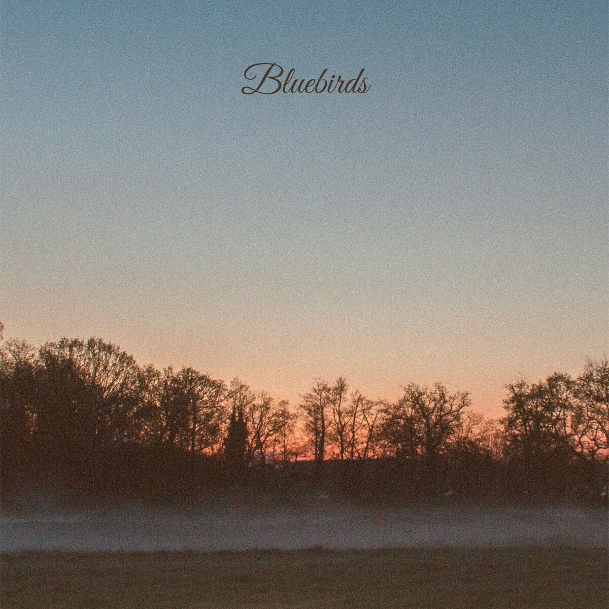 Album cover of Bluebirds