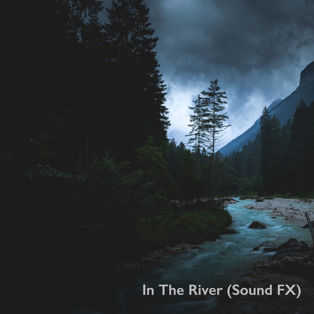 Picture of Swedish River Sounds Vol. 2