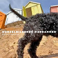 Wurzelbildende Ma&szlig;nahmen